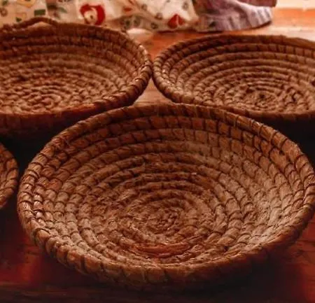 Mirtei Hohenau