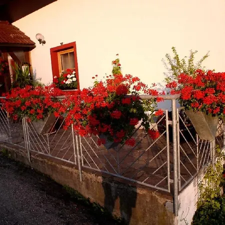 Apartment Mirtei