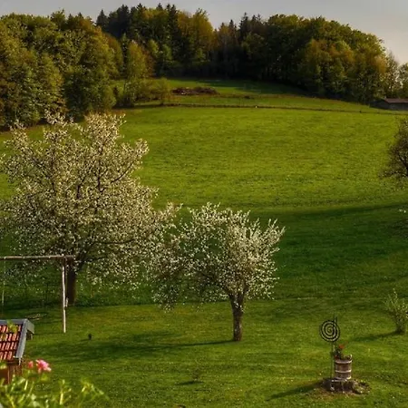 Apartment Mirtei Hohenau